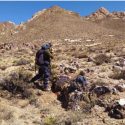 DHR announces positive update on Las Openas gold project