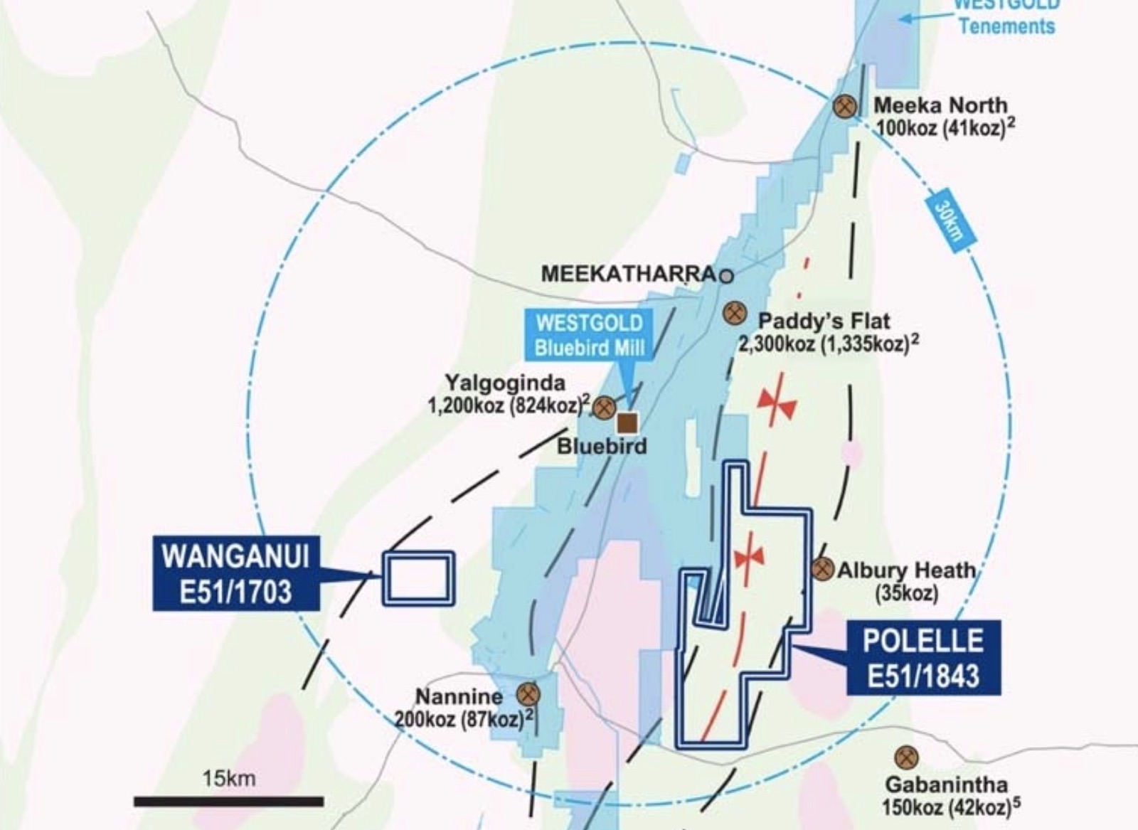 Castle Minerals identifies six gold and three copper anomalies at Polelle