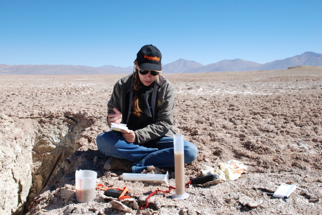 PepinNini achieves ‘very strong’ results from lithium blend study