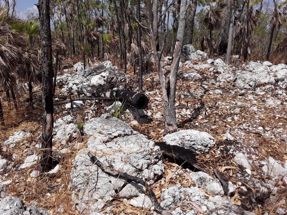 Castillo confirms outcropping pegmatites from field trip at Litchfield Lithium Project