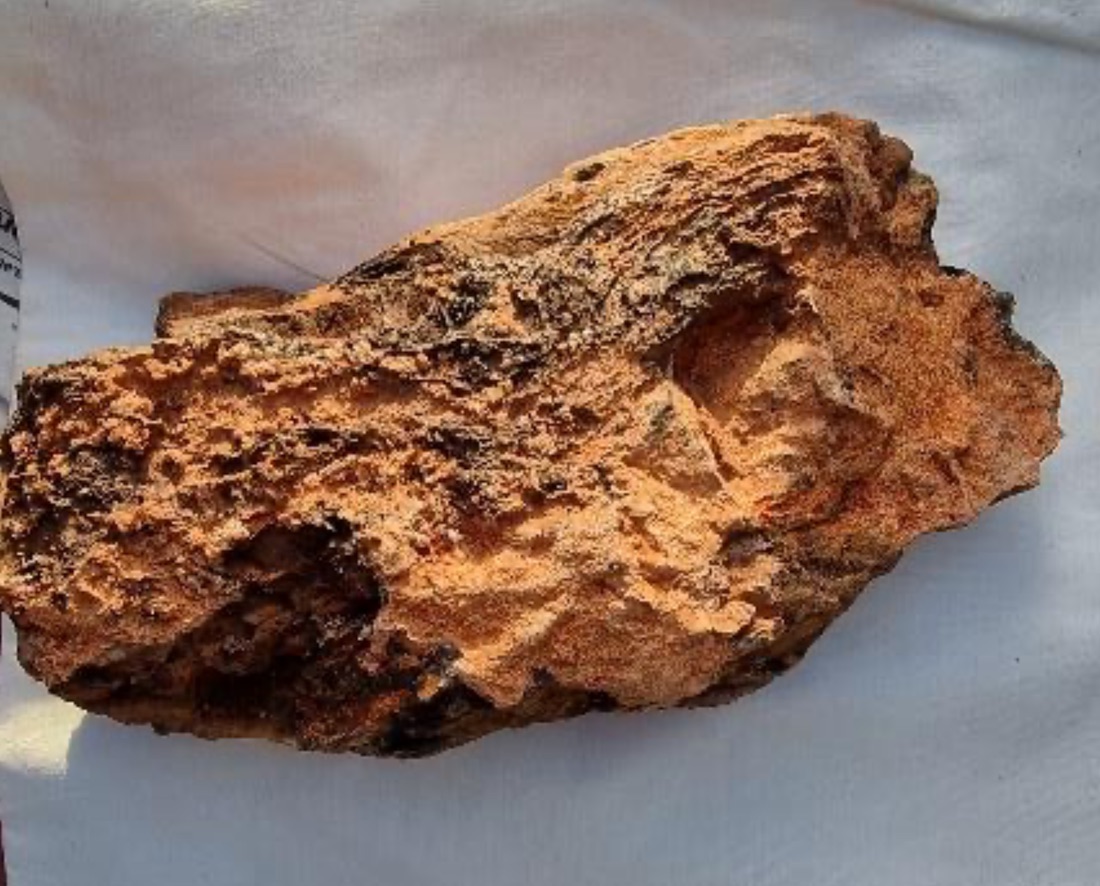 Peregrine identifies ‘high grade’ gold and silver at Birdsnest prospect