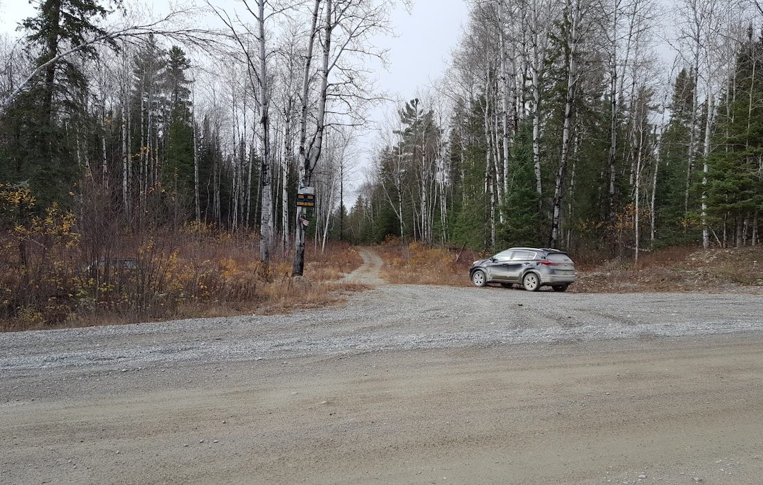 Aston Minerals makes ‘substantial’ nickel-cobalt discovery at Edleston