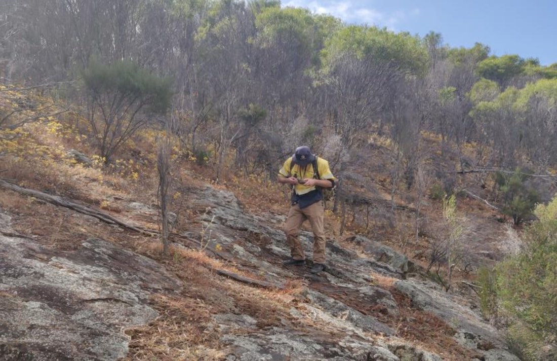 Bulletin Resources identifies spodumene lithium over 2.5km trend at Ravensthorpe