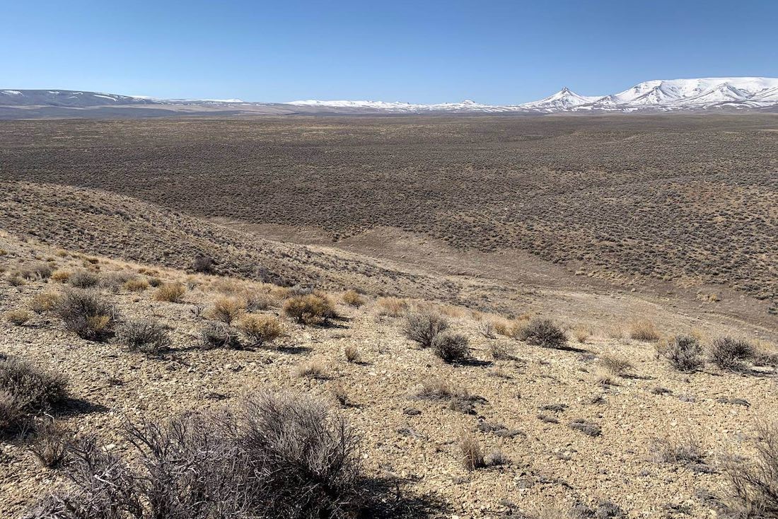 Jindalee Resources delivers promising first lithium results at McDermitt