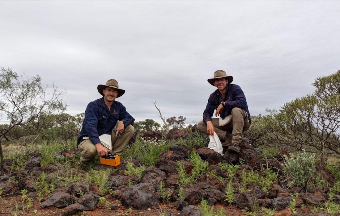 Dreadnought identifies rare earths and phosphate mineralisation at Mangaroon