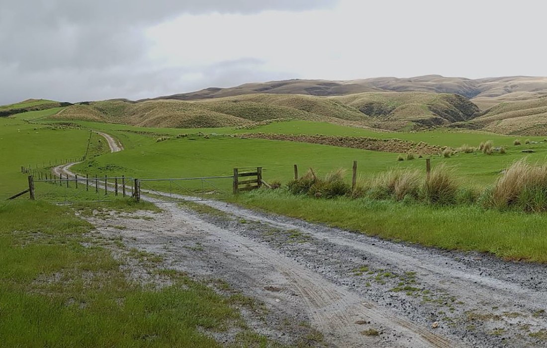 New Age Exploration kicks off gold exploration at Manorburn, Central Otago