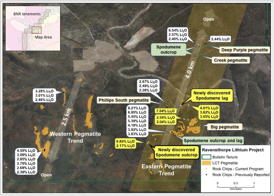 New rock chip assays (in yellow) along with spodumene locations and LCT pegmatite locations at Ravensthorpe