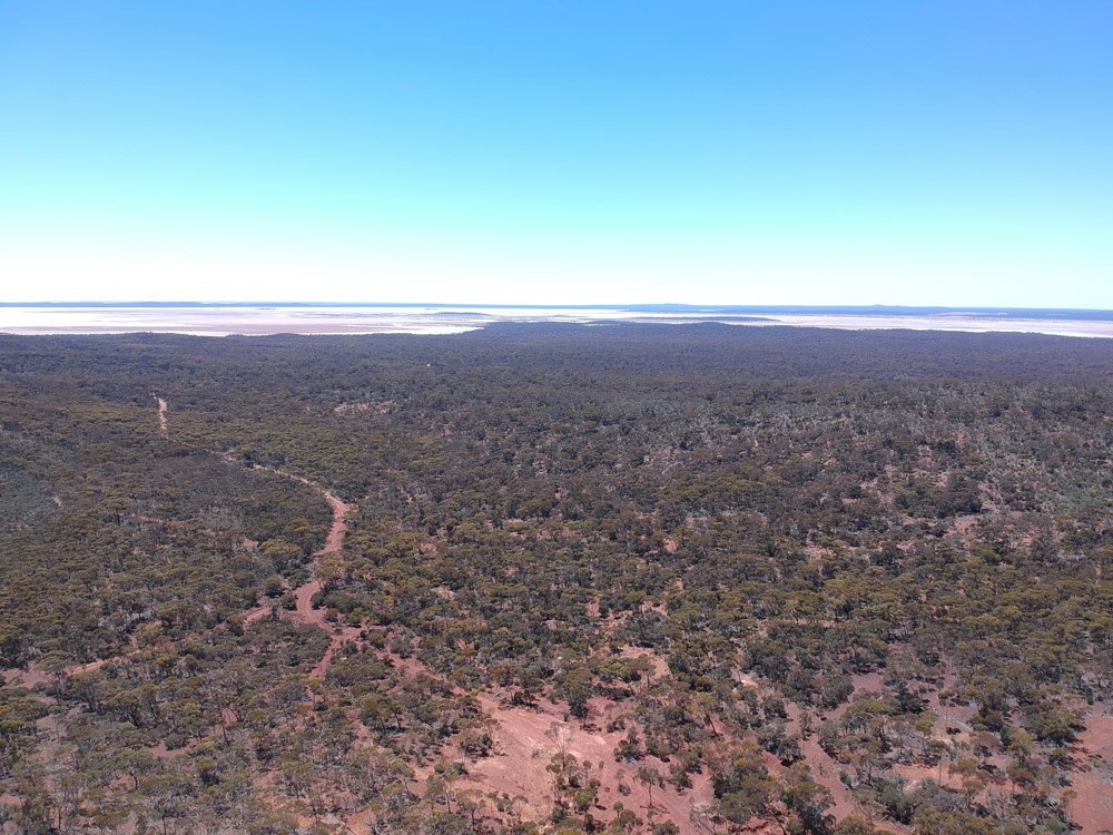 Galileo sees ‘excellent’ palladium potential at Norseman following AC drilling