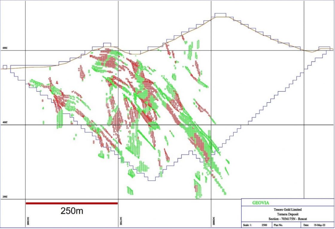 Block model of the Ternera Gold Deposit displaying indicated (red) and inferred (green) resources
