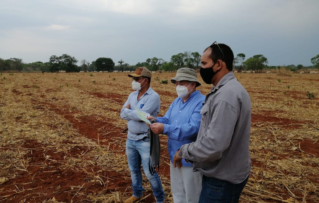 Alvo Minerals reports ‘exceptional’ copper-zinc hits at C3 deposit