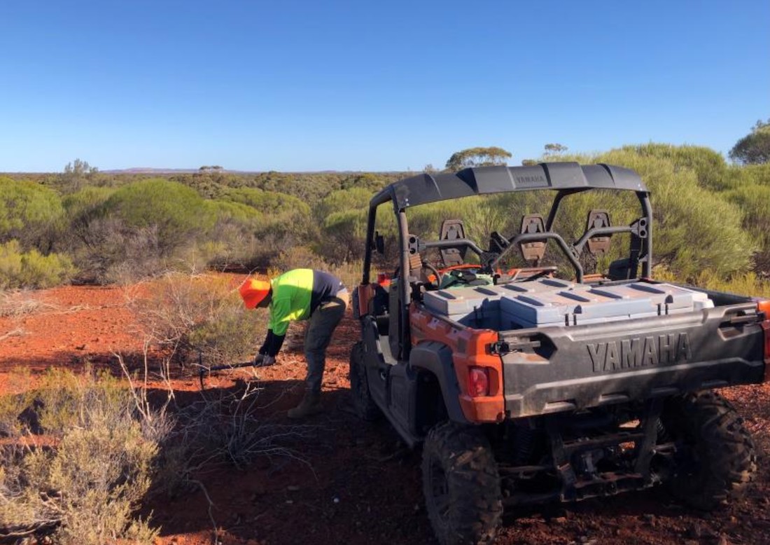 Miramar Resources recieves multiple new ‘high-grade’ gold results at Gidji JV