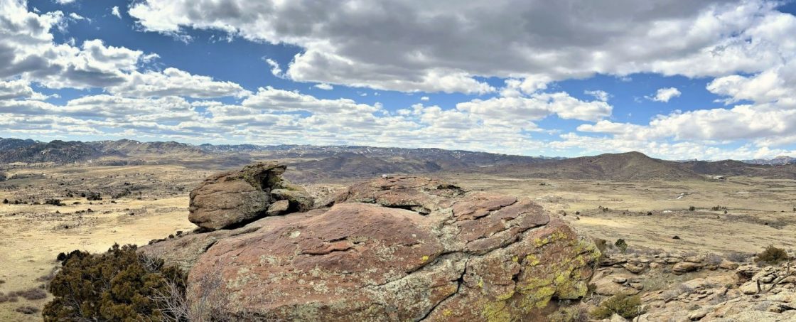 American Rare Earths collects ‘highly promising’ assays at Halleck Creek Project, US