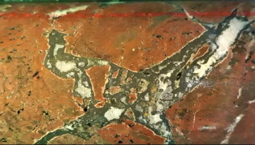 Cohiba Minerals returns ‘significant’ zinc intersections from Pernatty C, South Australia