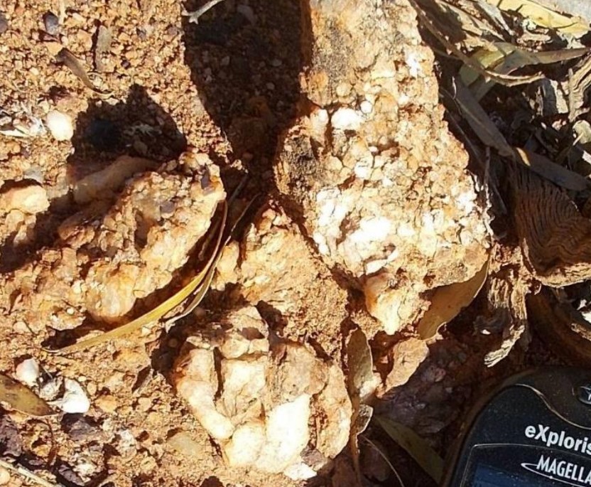 Midas Minerals has the touch at Newington Lithium-Gold Project in WA’s Goldfields region