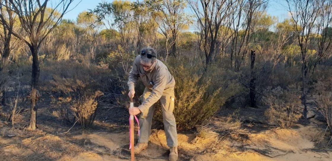 Sabre Resources soars as it launches ‘aggressive’ nickel sulphide drilling at two WA projects