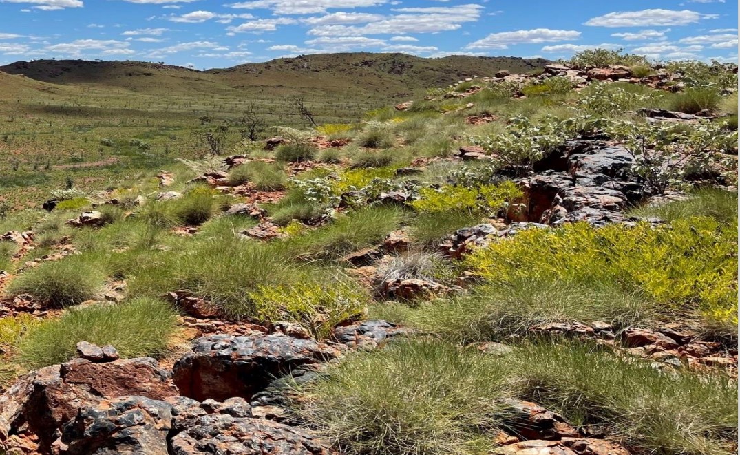Trek Metals gains momentum with ‘major’ exploration at battery metals projects in Pilbara, WA