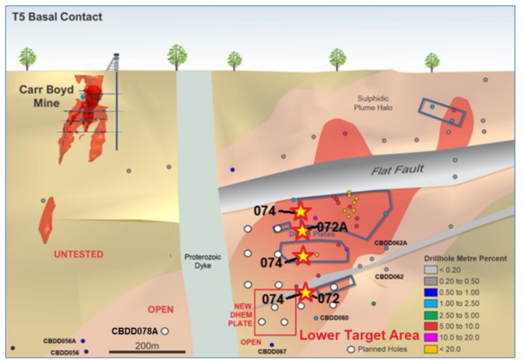 Estrella assays