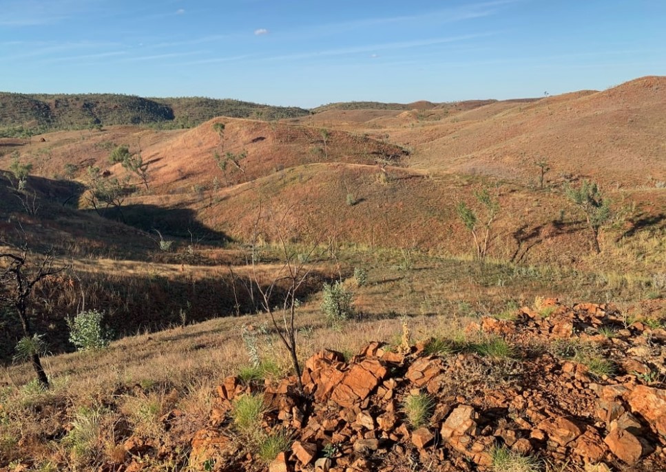 Peako appoints mining veteran for Saudi gold push
