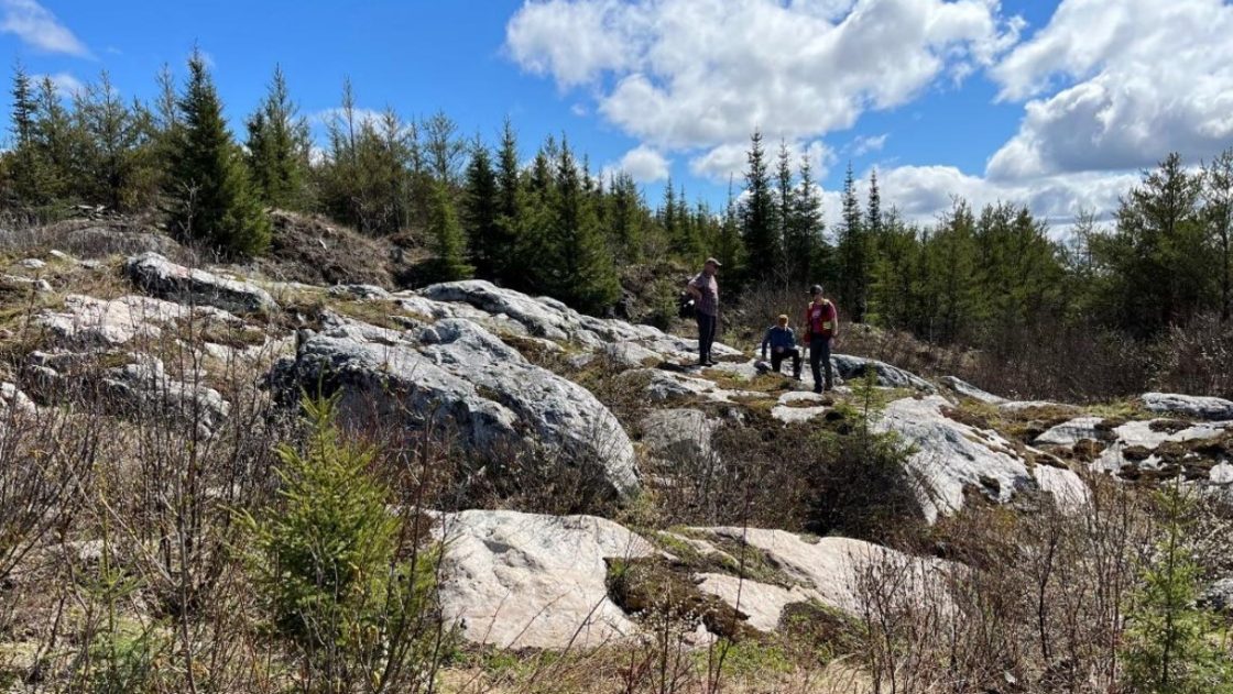 Green Technology Metals preparing to drill at Root Lithium Project in Canada