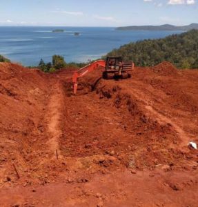 Pacific Ni DFS works