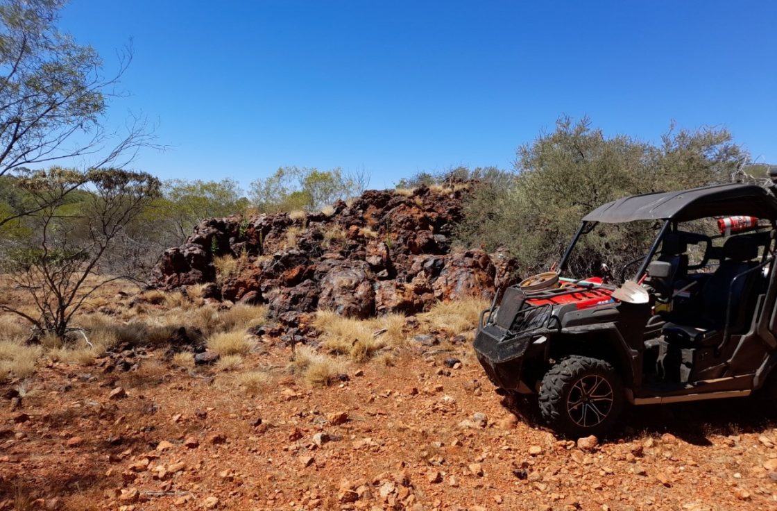 Venus Metals delineates multiple priority REE targets at Mangaroon North