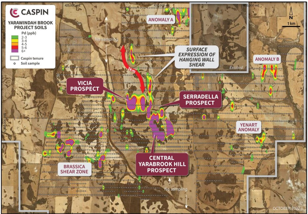 Caspin Resources unearths new ‘significant’ PGE prospect at Yarawindah Brook Project, WA