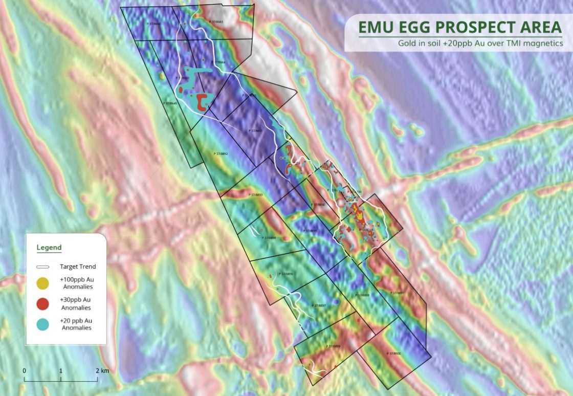 Mt Malcolm cracks several extensive +20ppb Au anomalies at Emu Egg prospect, Western Australia