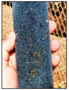 Gallileo assay