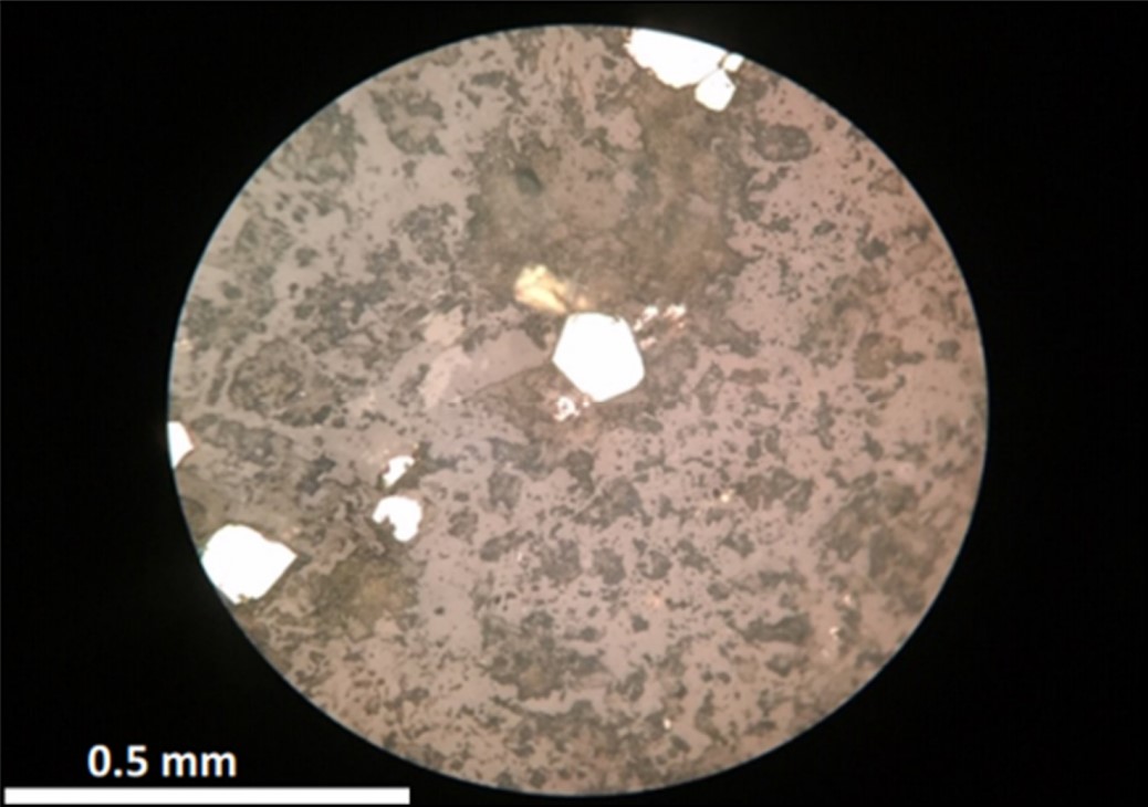 Southern Hemisphere Mining uncovers large porphyry system at Llahuin copper-gold-moly project, Chile 
