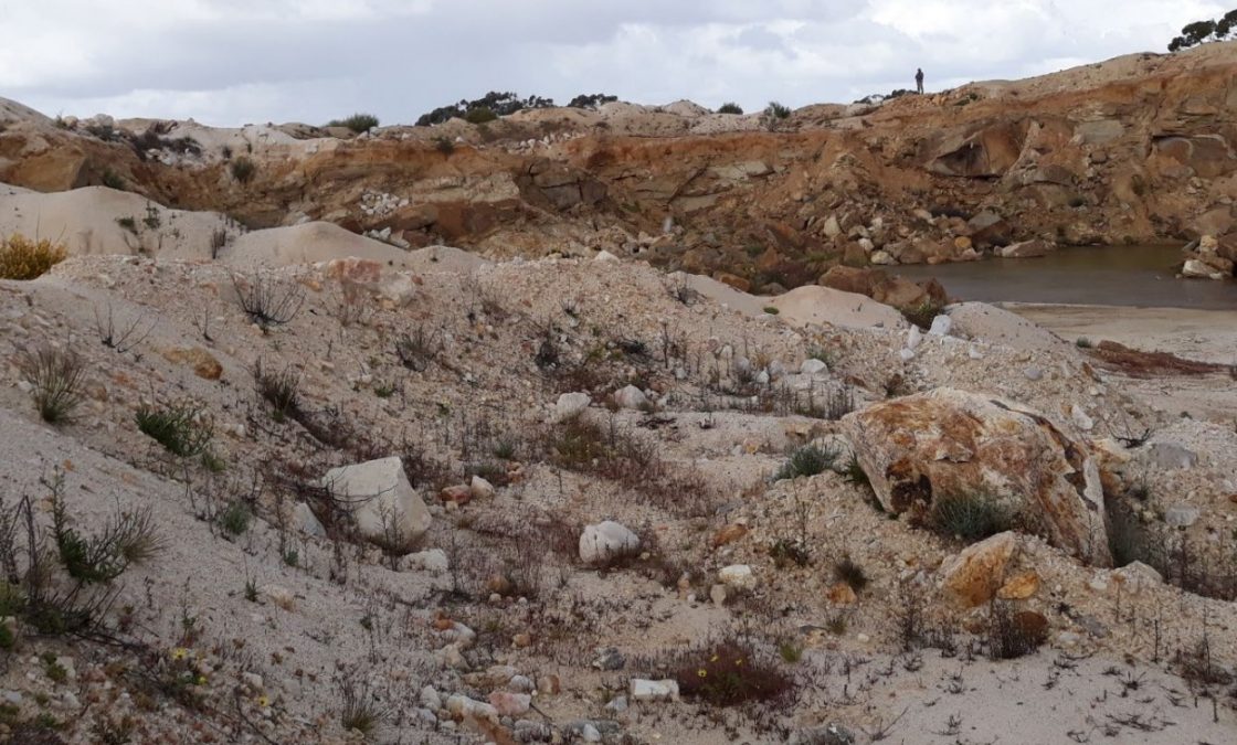 Codrus Minerals soars as it returns ‘high-grade’ REEs from freshly acquired Karloning Project, WA