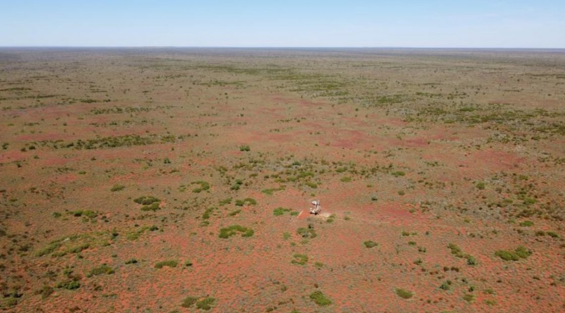 Miramar Resources upgrades IOCG mineralisation potential at Whaleshark Cu-Au Project, WA