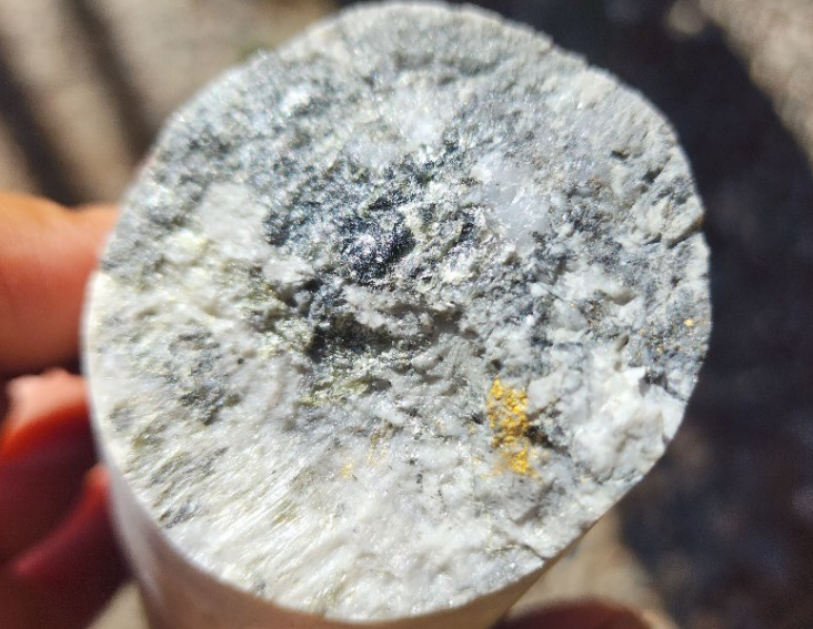 Black Cat Syndicate continues to extend Gabbro Veins up-plunge at Paulsens Gold Operation