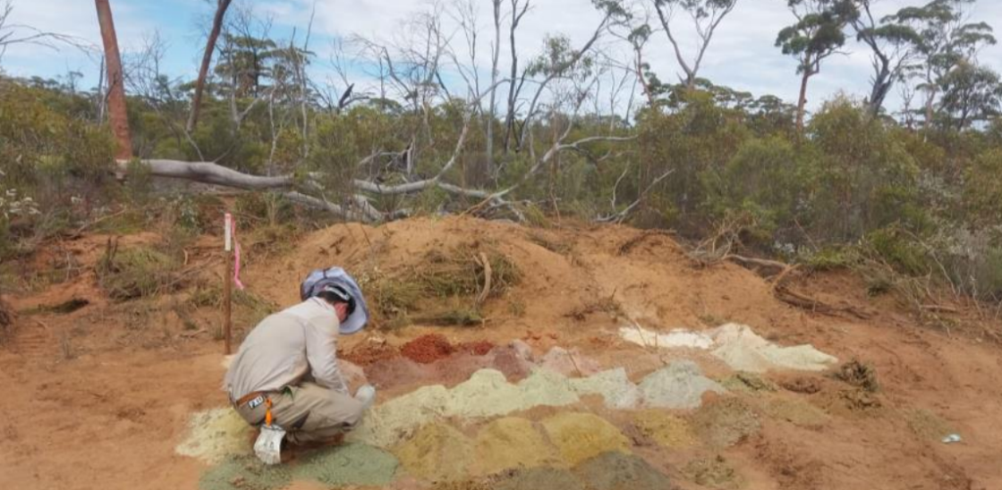 Dynamic Metals begins AC drill program targeting nickel at Lake Percy Project