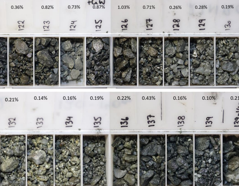 NickelSearch uncovers shallow nickel sulphides at Carlingup Project in WA