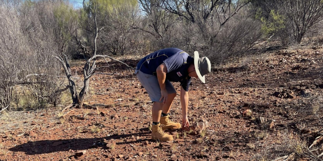 Panther Metals defines ‘significant’ gold and nickel targets at 40 Mile Camp prospect