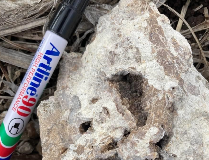 Australasian Metals completes maiden MRE for Mt Clermont and Capella projects