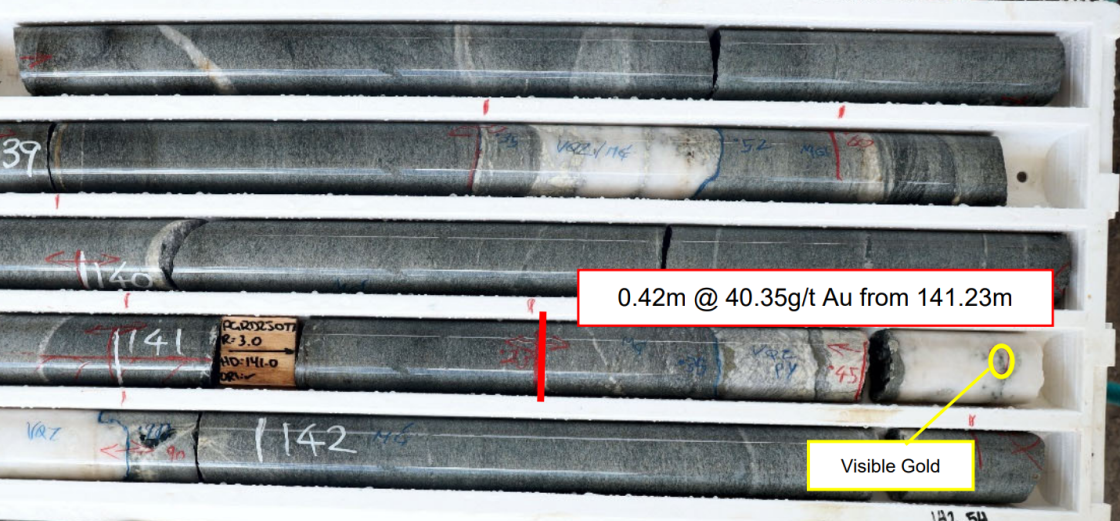 Black Cat Syndicate continues hunt for ‘high-grade’ gold to usher in updated MRE at Paulsens