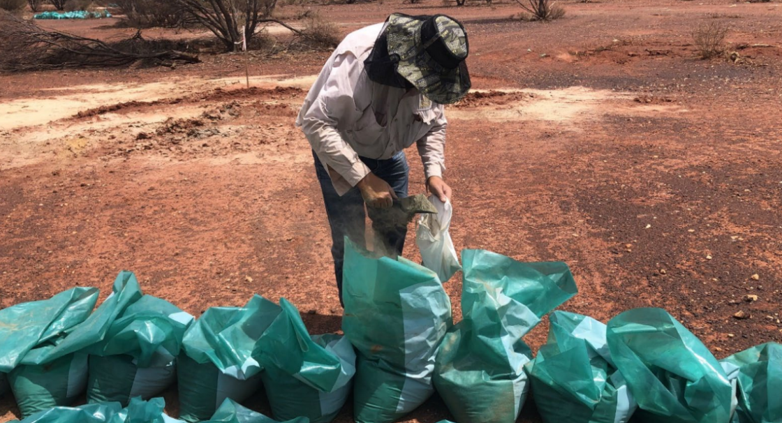 Cavalier Resources begins metallurgical studies on Crawford Gold Project in WA