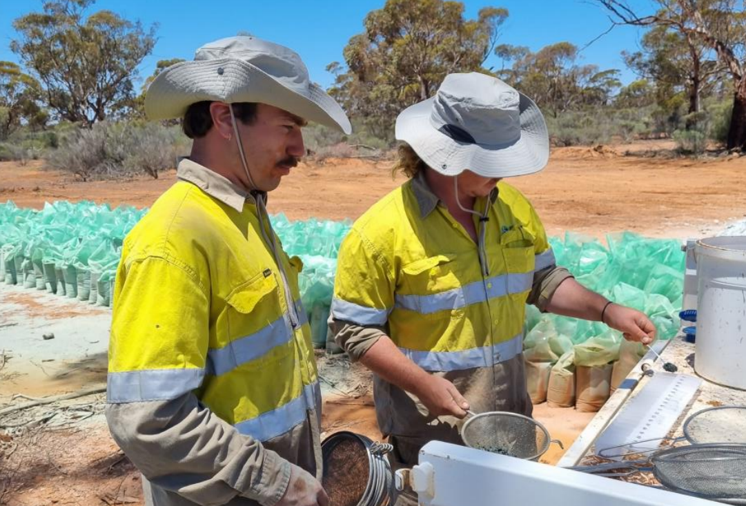 Lunnon nears PFS completion at Kambalda Nickel Project