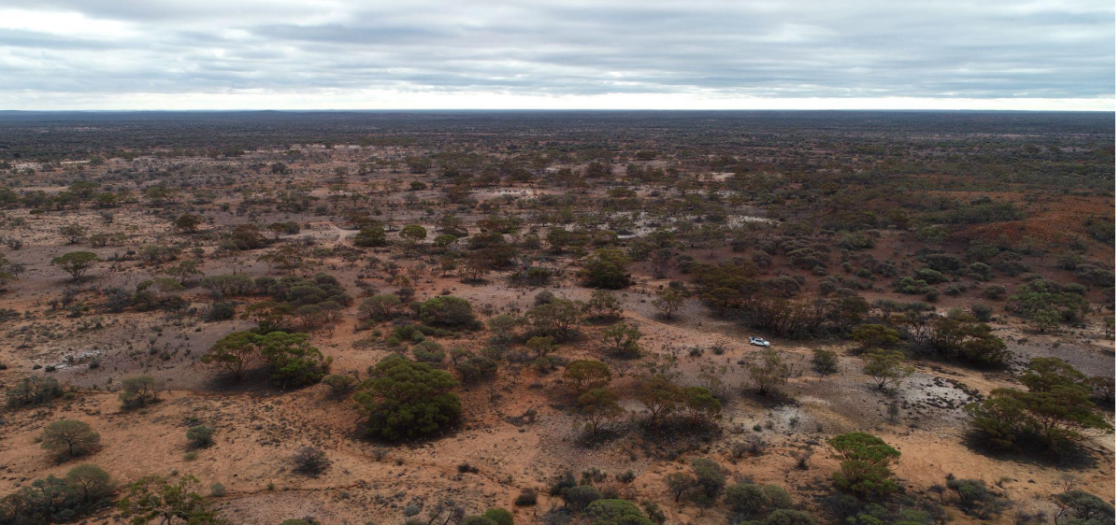 Regener8 Resources prepares to renew Kookynie district with upcoming drill program  