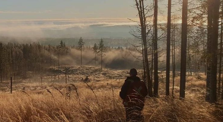 Alicanto Minerals strikes silver grades up to 1,326g/t at Sala Project, Sweden