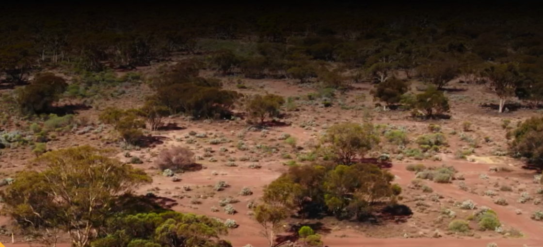 Black Cat Syndicate flags ‘significant’ growth potential at Paulsens Gold Operation in WA
