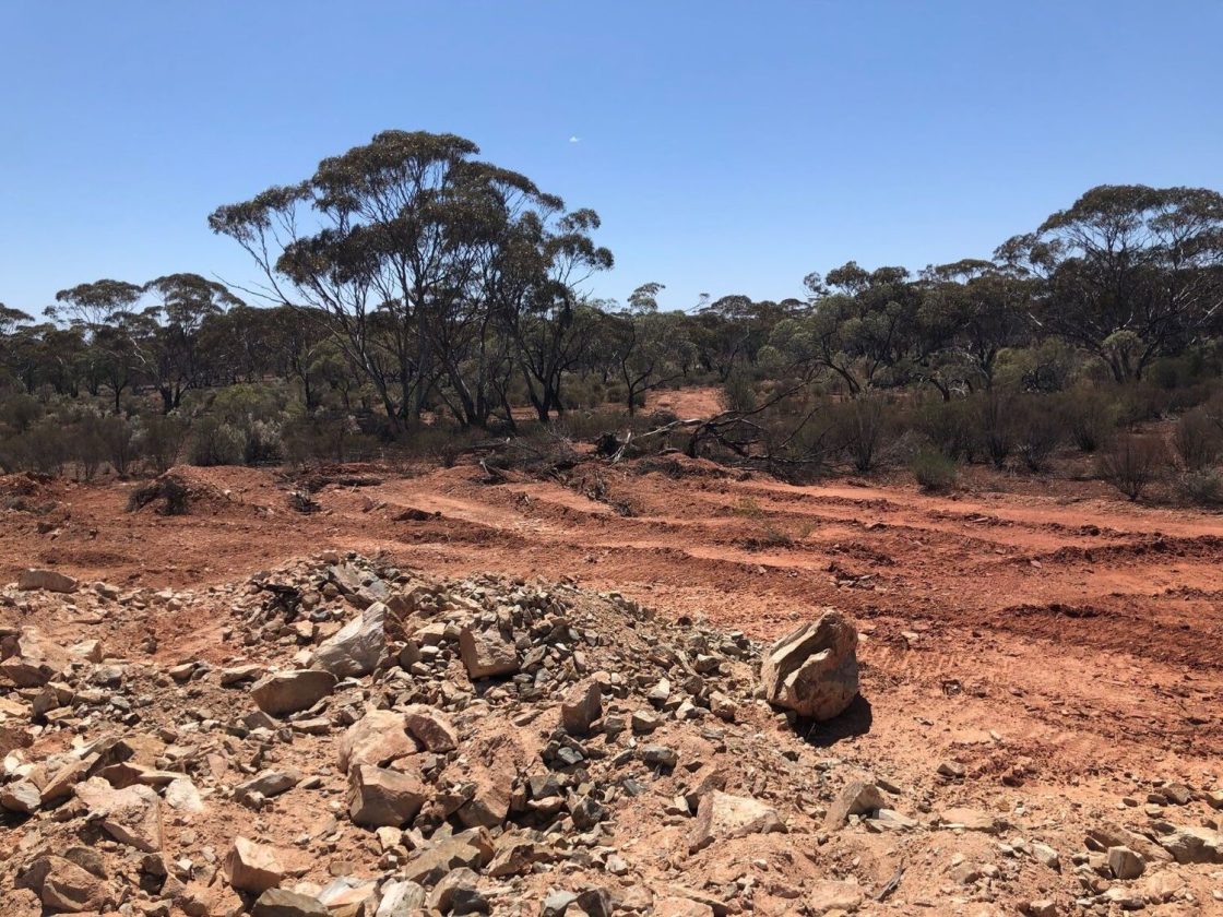 Forrestania Resources pens option deal to snap up 2 tenements contiguous to existing WA landholding