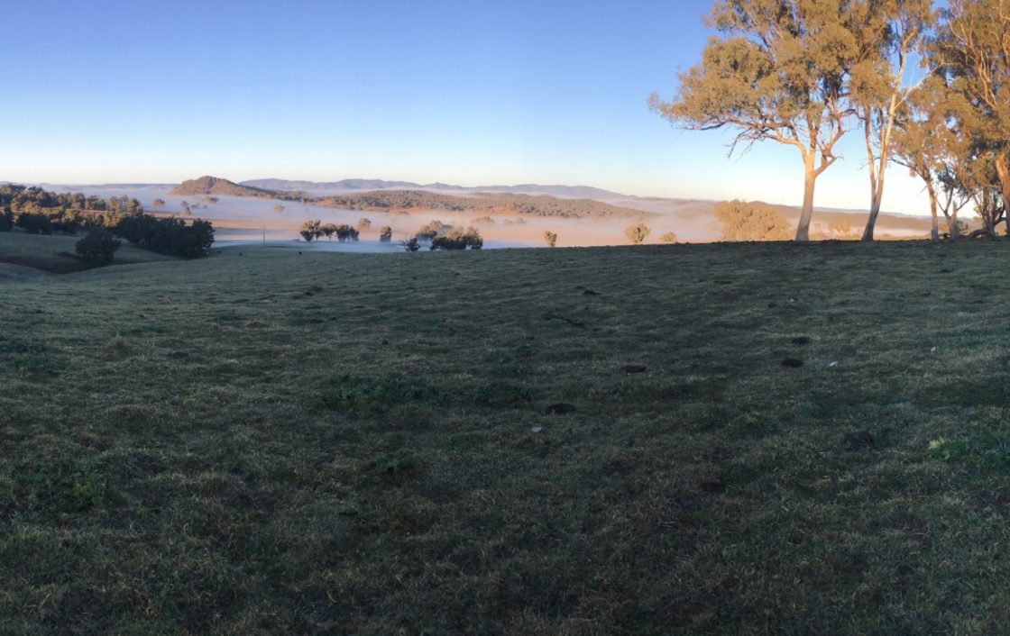 Silver Mines encounters ‘bonanza’ grades at Bowdens Project in NSW
