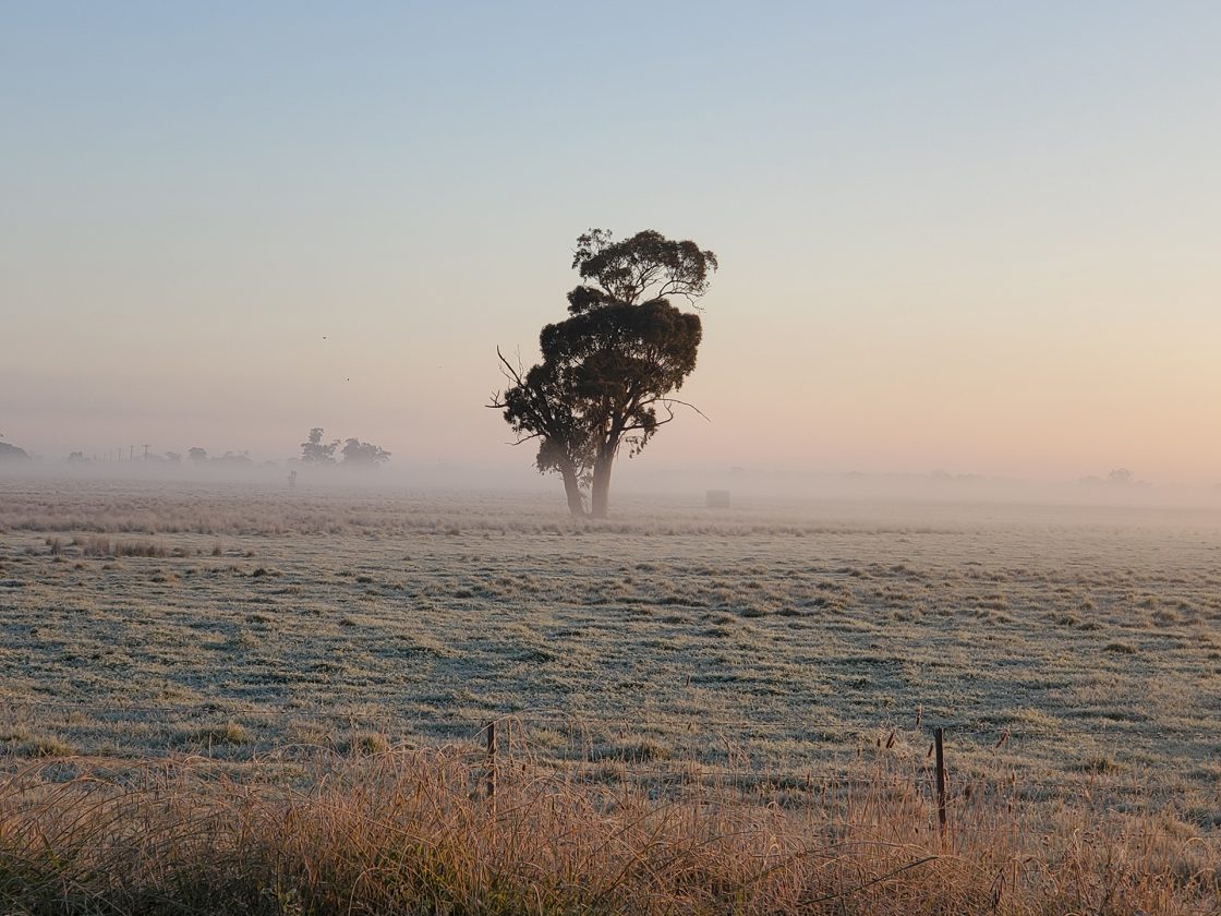 Southern Cross Gold reports up to 22.4g/t gold equivalent at Sunday Creek Project