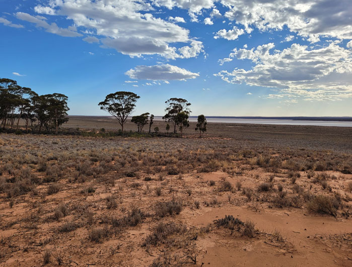 Larvotto Resources further advances metallurgical testwork at Eyre Project, WA