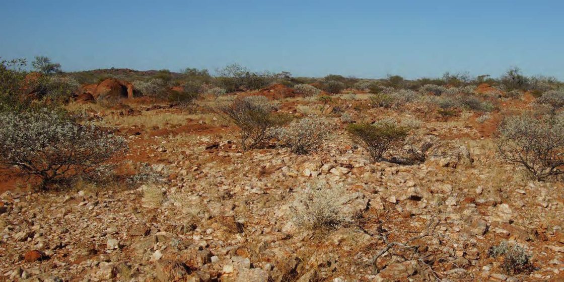 Fieldwork at Minerals 260’s Aston project confirms strong lithium anomalism, WA