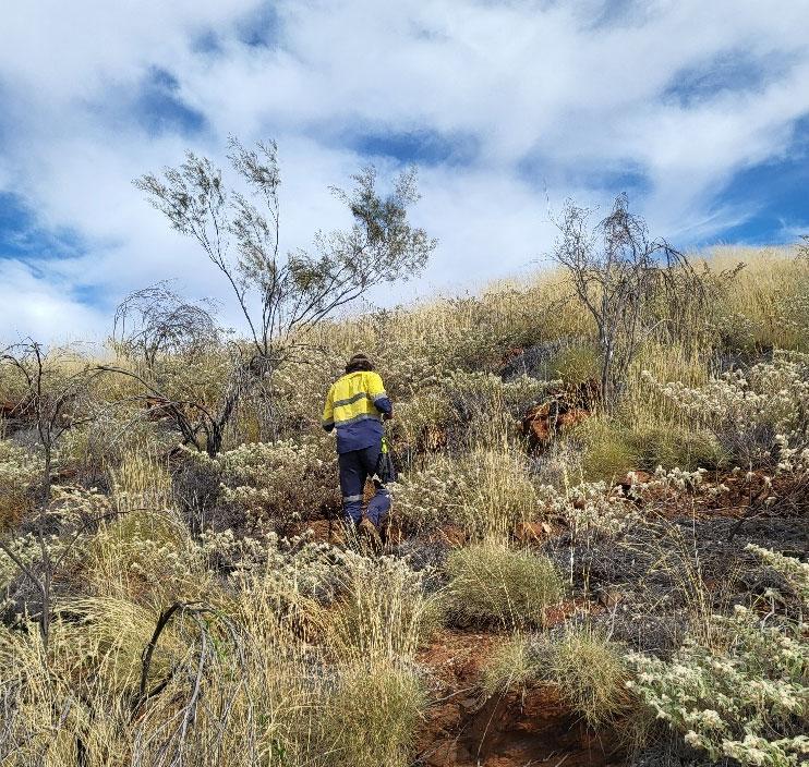 Black Cat Syndicate hunts down new targets at Paulsens Operation, WA