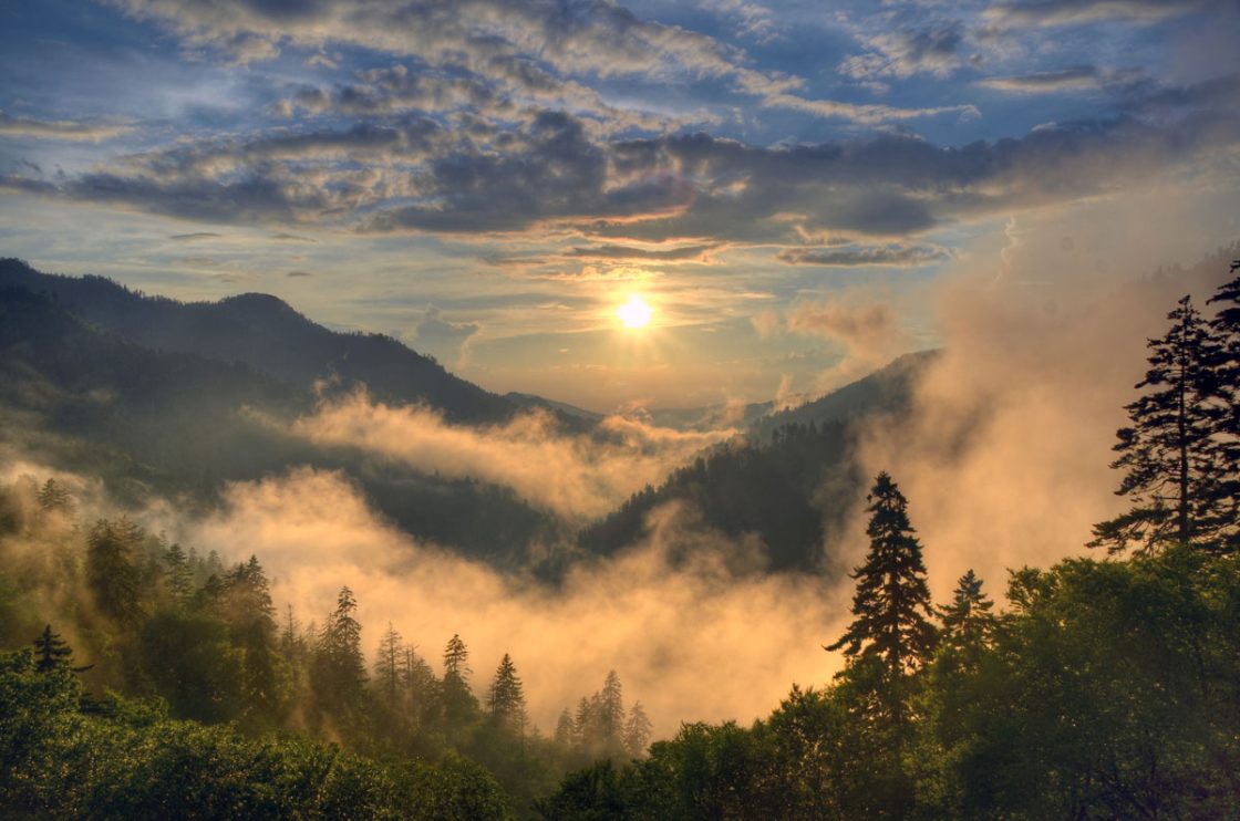 Piedmont Lithium releases inaugural sustainability report for Tennessee and Carolina projects, US