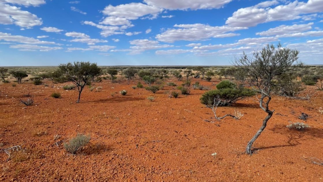 Buxton completes soil sampling at Narryer